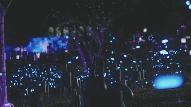 DƬ
